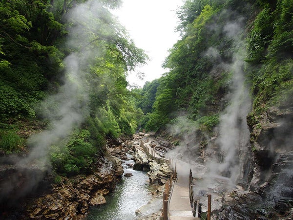 【新千歳空港発】 温泉・グルメ・観光をゆっくり楽しむ!秋の東北の癒し旅 源泉かけ流しの湯 美人の湯「瑞泉郷」と名湯 鳴子温泉3日間 3